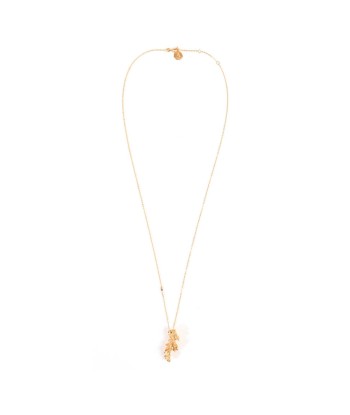 Collier Corail doré d'Europe débarque