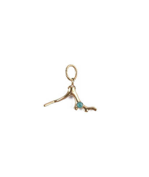 CORAIL Charm turquoise Comparez et commandez 