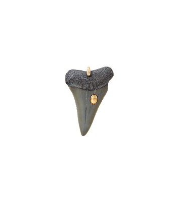 PRO - SHARK Charm Dent fossilisée sertie Citrine - bélière argent plaqué or 24 cts et diamant s'inspire de l'anatomie humaine