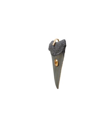 PRO - SHARK Charm Dent fossilisée sertie Citrine - bélière argent plaqué or 24 cts et diamant s'inspire de l'anatomie humaine