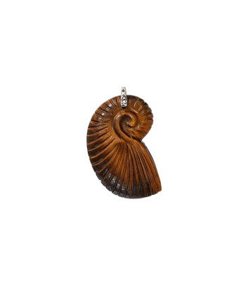 PRO - CHARM NAUTILUS Oeil de Tigre Comparez plus de prix