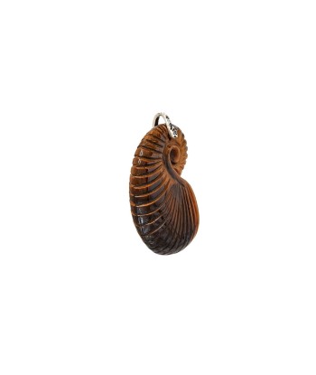 PRO - CHARM NAUTILUS Oeil de Tigre Comparez plus de prix