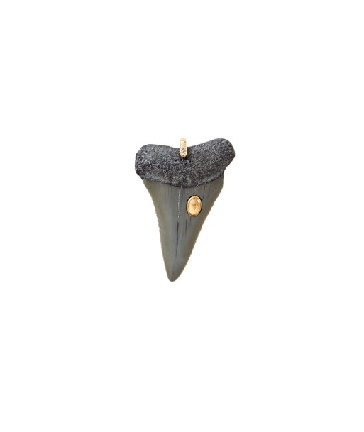 SHARK Charm Dent fossilisée sertie Citrine - bélière argent plaqué or 24 cts et diamant en stock